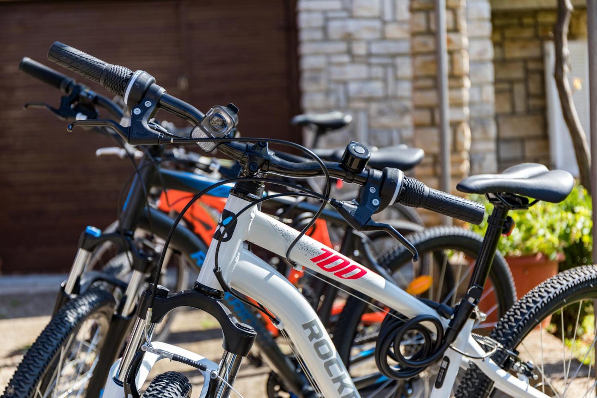 Apartment Tesic Close To The Sea With Shared 4Xbicycles Fazana Bagian luar foto